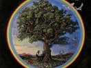 FAY, Bill - Countless Branches - Vinyl (LP + MP3 download code)