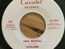 Cascabel 45 Vida Musical CASCABEL M- ABQ salsa Latin funk banger NEW MEXICO HEAR