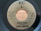 Sleepy Hollow 45 Missed You So/Feelin' Glad ECI VG psych garage HEAR