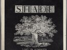 Orig '76 SHADE Lost In Summer LP Private Press MA Psych Funk w/ Insert