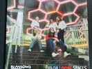 Blossoms Foolish Loving Spaces , LTD ED Glow In The Dark Vinyl Signed