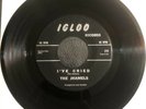 Rare Northern Sweet Soul Jhamels Igloo I’ve Cried/ I’m Not Lying 45 VG++