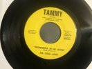 Rare Sweet Soul 45 Ice Cold Love “Wonderful To Be Loved/ Sheer Magic” Tammy Vg++