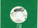 THE DOORS ORIGINAL WLP 45 RIDERS ON THE STORM b/w CHANGELING PROMO NICE