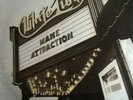 White Lion - Mane Attraction (German Import 12
