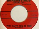 Garage 45 THE PLAGUES Why Can't You Be True QUARANTINED Through This World HEAR