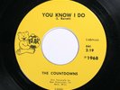 The Countdowns BEAR 1968 M- ROCK N' ROLL GARAGE 45