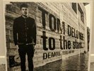 Tom Delonge to the stars... Demos, Odds and Ends Colored Vinyl  Blink 182 Rare