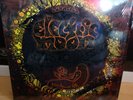 ELECTRIC MOON-  Lunatics LP  Nasoni Vibravoid Prog KING CRIMSON Floyd