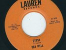 NY Garage psych / Soul - Dry Well LAUREN 2515 Gypsy / Try a little tenderness