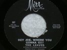 THE LEAVES Hey Joe, Where You Gonna Go? MIRA 1965 Garage Psych FIRST ISSUE