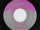 Doo-Wop 45 - Royal Masters - You're The One - Guyden - VG+ mp3