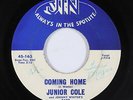 Blues R&B 45 - Junior Cole & Johnny Winter's Band - Coming Home - Jin - mp3
