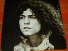 TYRANNOSAURUS REX MARC BOLAN VINYL LP A BEARD OF STARS 1970 - US 1971 PRESSING
