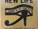 New Life trio Visions Of The Third Eye Mustevic OG STEVE REID free jazz sealed