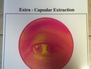 EARTH - Extra Capsular Extraction LP Sub Pop - nirvana cobain melvins