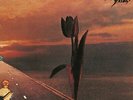 Pretty Things - Parachute - LP Vinyl - New