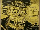 APPENDIX 