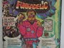 Funkadelic - R&B - One Nation Under A Groove - Record Album
