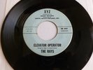 The Rays Elevator Operator Rock & Roll Early R&B  Listen Hear