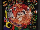 TEDDY ROBIN & PLAYBOYS: Magic Colours LP (reissue) Rock & Pop