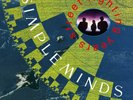 SIMPLE MINDS 'STREET FIGHTING YEARS' (Remastered) Double VINYL LP (2020)
