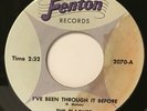 THE PLAGUES   - KILLER GARAGE FUZZ GRAIL - FENTON VG+ HEAR