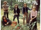 FLEETWOOD MAC-Live In Finland 1969 VINYL NEW