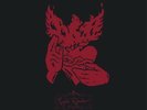 Crippled Black Phoenix - Night Raider