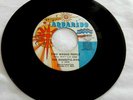 THE DOMESTIC-FIVE AQUARIUS NORTHERN SOUL TWO WRONG PEOPLE & ITS AN EMPTY WORLD