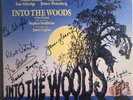 LP Into the Woods Broadway Cast Recording Signed Autographs Original Cast RARE
