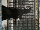 Neil Young AFTER THE GOLD RUSH 140g GATEFOLD Reprise Records VINYL LP