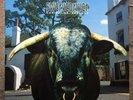 SWERVEDRIVER - Mezcal Head (CRELP143, 1993) LP original vinyl, not re-issue