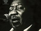 Waters, Muddy-Muddy Mississippi Live (1LP) (UK IMPORT) VINYL NEW