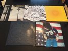 Ryan Adams Vinyl Used LP Lot, Gold, Cold Roses, Easy Tiger, Cardinoligy, Follow