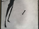 Schallplatte / Vinyl / LP  Scratch  Acid - Same