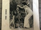 DOGS 
