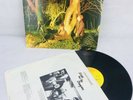 Echo And The Bunnymen Crocodiles Vinyl LP Gold Stamped PROMO New Wave Rare