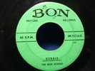 Blue Echoes  Debbie / It's Witchcraft  Rare 1959 Bon Musique Rockabilly Rock 45