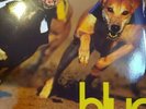 Parklife by Blur VINYL 2012 2 lp gatefold EMI Damon Albarn like new Girls & Boys