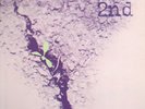 AGITATION FREE - 2nd - Vertigo swirl 6360615 vinyl lp 12