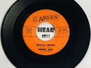 Garage Surf Ripper 45 DONNY RAE & DEFIANTS Beattle Mania ARLEN anti beatles punk
