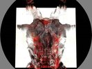Slipknot - All Out Life / Unsainted (Black Waxday 2019) Vinyl 7