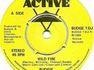 Budgie - Wild Fire (7
