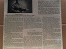 Marlin Wallace Corillions Double Album Outsider Conspiracy Acid Archives SEALED