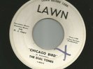 DOOWOP GARAGE ROCK- DIAL TONES- w/ LINK WRAY- CHICAGO BIRD- HEAR - 1963 DJ LAWN