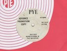 Robb Storme & Whispers Shy Guy Pye Demo 7N 15819 Soul Northern motown