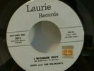 Dion and the Belmonts Laurie 3013 I WONDER WHY (GREAT DOO WOP 45) PLAYS VG++