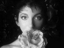 Coffret Vinyle N°2 Remasterise Rock kate Bush Album Musik Schallplatte