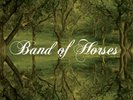 Band Of Horses - Everything All The Time COLOURED vinyl LP NEW/SEALED IN STOCK